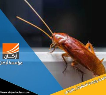 شركة مكافحة صراصير بالرياض تقدم خدمات متخصصة للقضاء على الحشرات باستخدام أحدث التقنيات والمواد الآمنة. احصل على بيئة نظيفة وصحية مع فريقنا المحترف. تواصل معنا الآن!