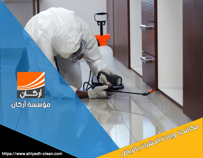 شركة مكافحة حشرات الرياض