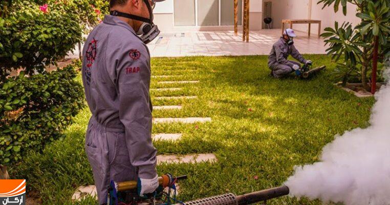 شركة مكافحة حشرات بالخرج