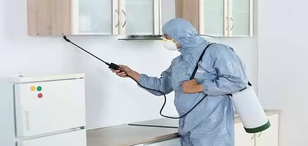 شركة رش مبيد شمال الرياض